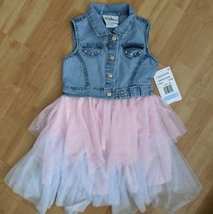 BNWT Rare Editions Dress